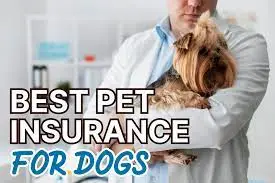  Pet Insurance for Dogs