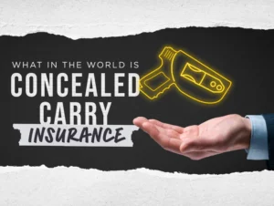 do you need ccw insurance 