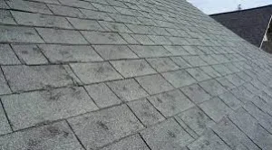 hail damage roof insurance claim